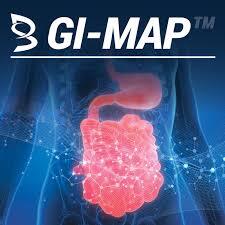 Illustration of a person's digestive system and gut.